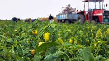 agricoltura