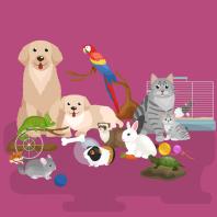 ANIMALI D'AFFEZIONE