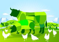 SERVIZIO SANITÀ ANIMALE