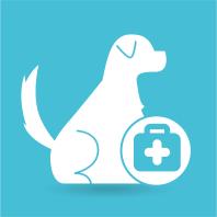 PET THERAPY